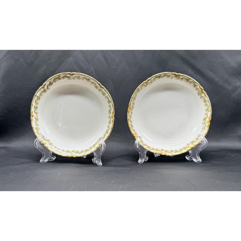 Antique‎ Haviland & Co Limoges France Porcelain Fruit Bowls Set of 2 Pink Floral